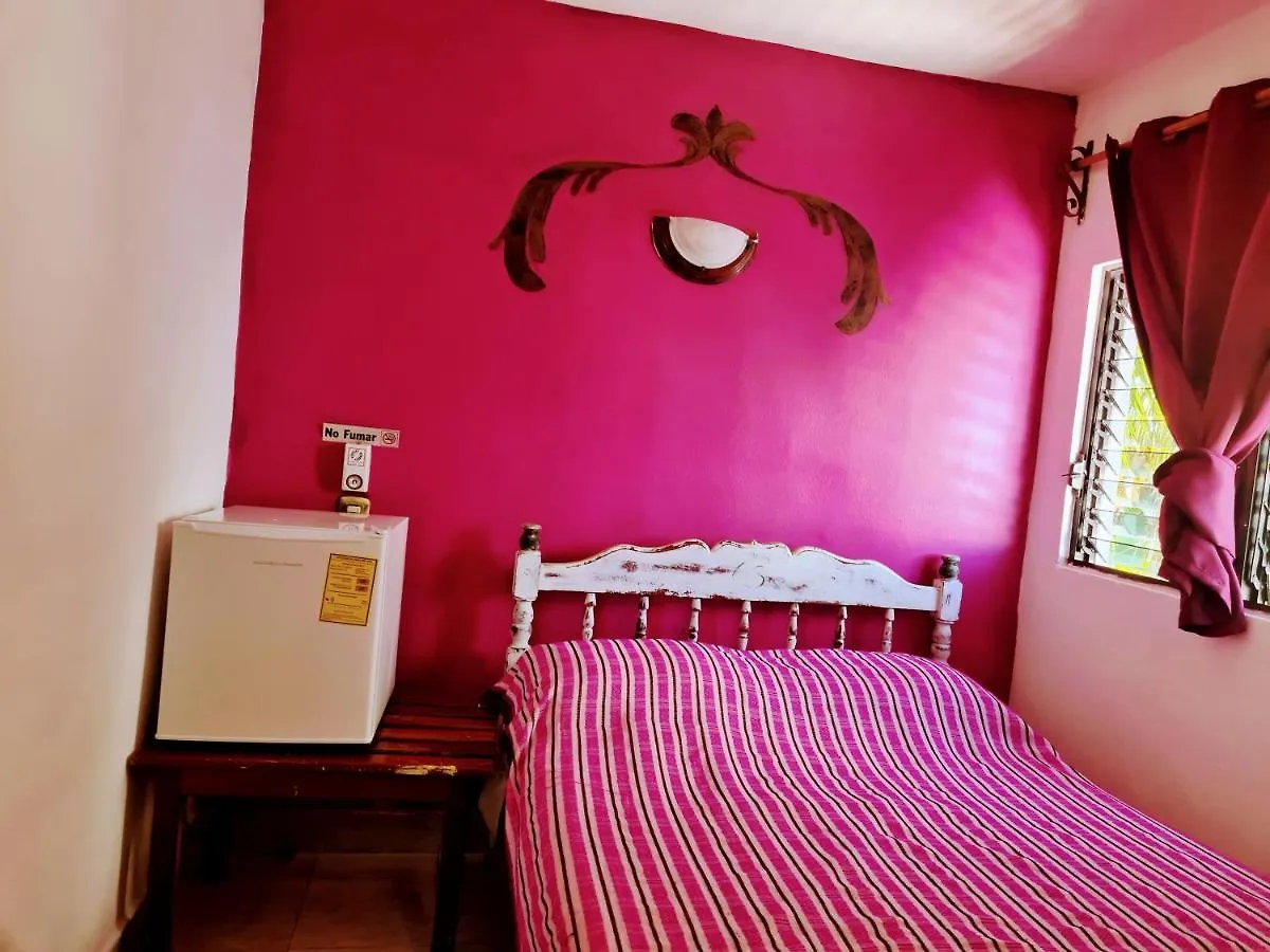 Hotel D Margo Playa del Carmen